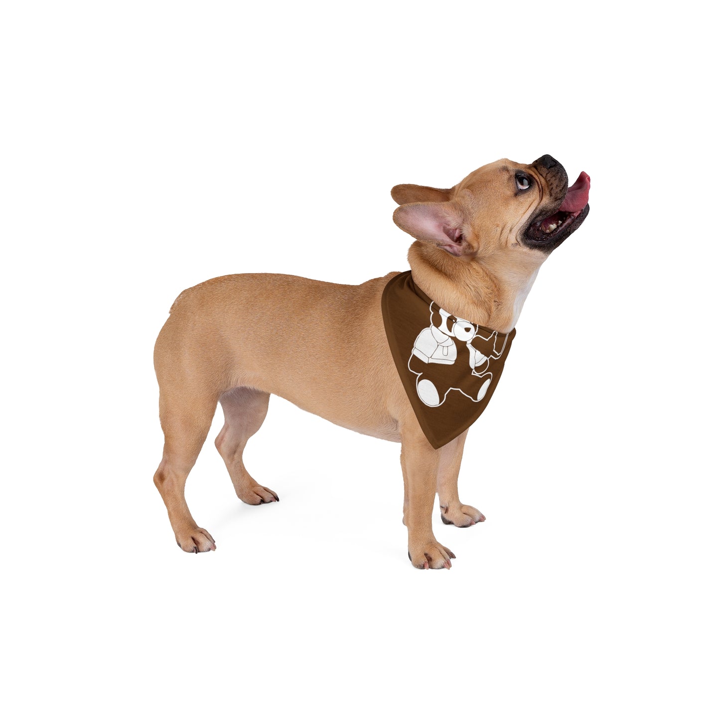 Pet Bandana
