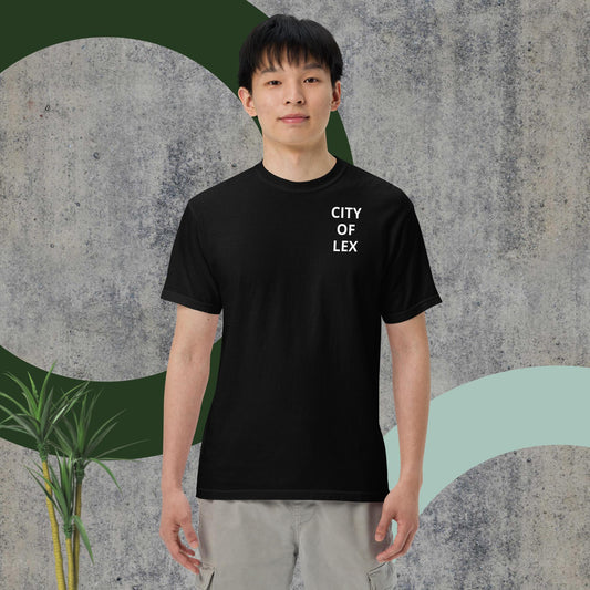 Unisex garment-dyed heavyweight t-shirt